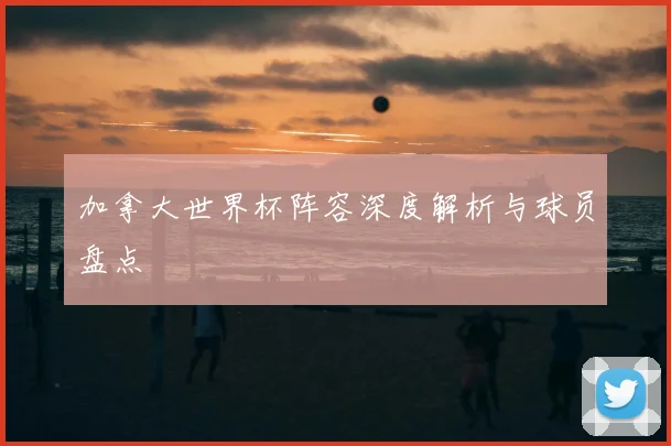加拿大世界杯阵容深度解析与球员盘点