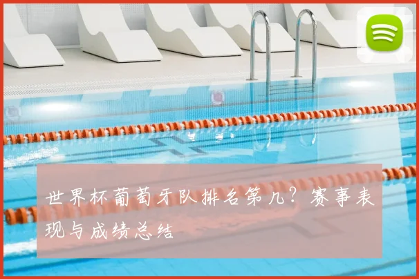 世界杯葡萄牙队排名第几?赛事表现与成绩总结