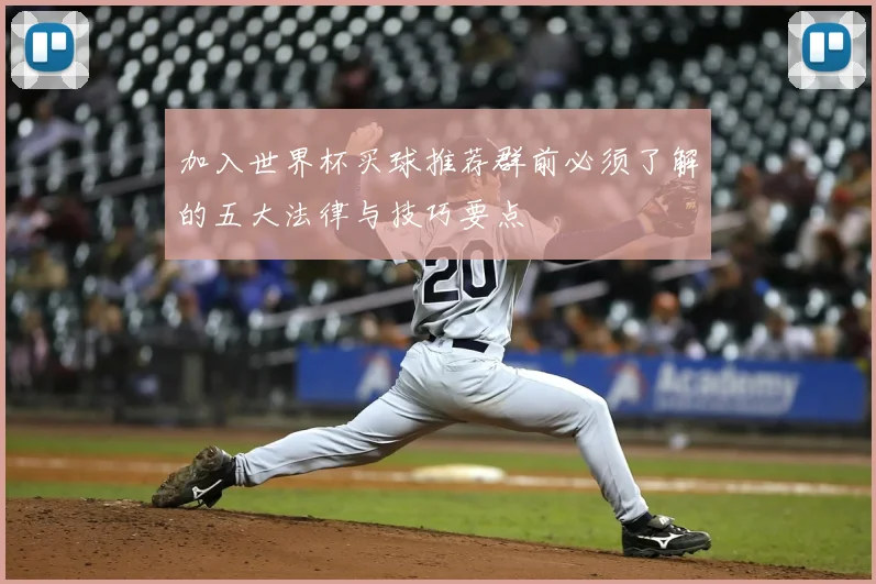 加入世界杯买球推荐群前必须了解的五大法律与技巧要点