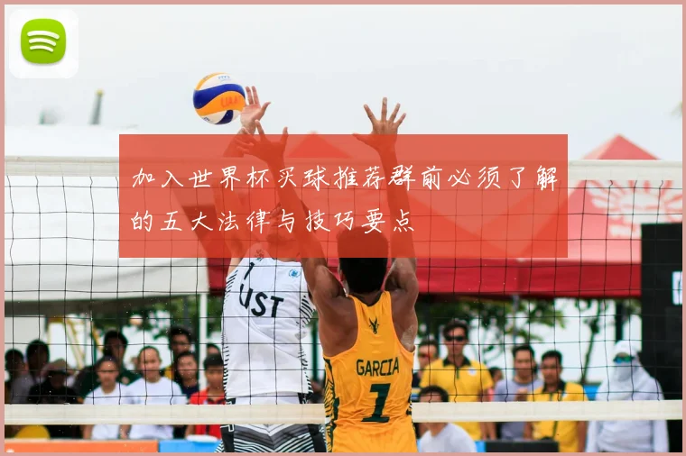 加入世界杯买球推荐群前必须了解的五大法律与技巧要点