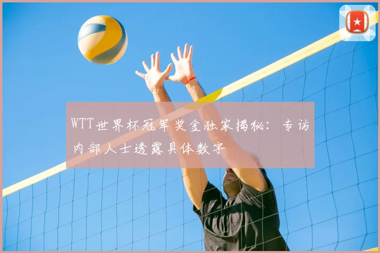 WTT世界杯冠军奖金独家揭秘：专访内部人士透露具体数字