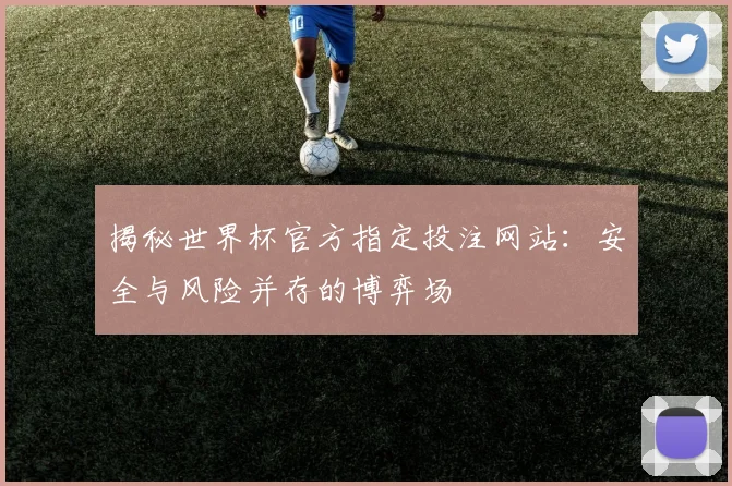 揭秘世界杯官方指定投注网站：安全与风险并存的博弈场