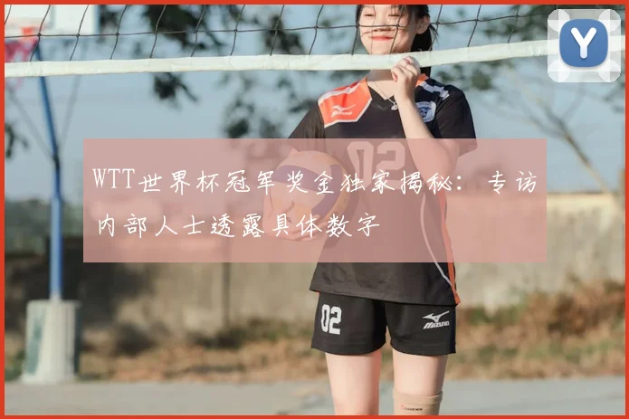 WTT世界杯冠军奖金独家揭秘：专访内部人士透露具体数字