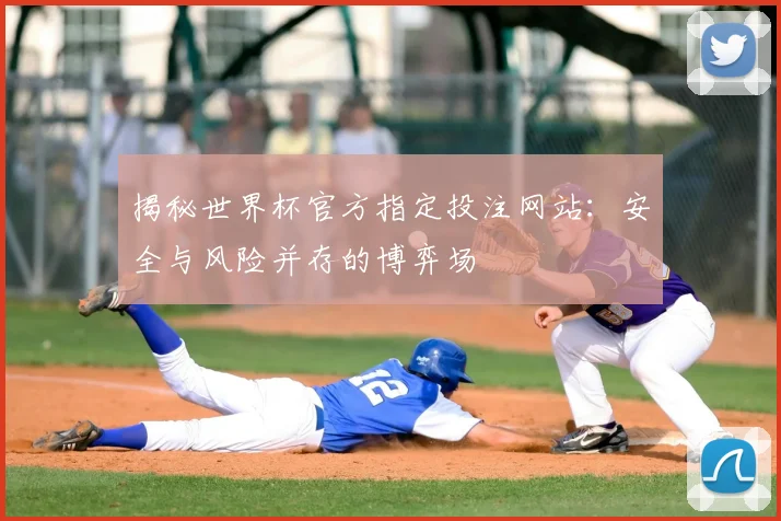 揭秘世界杯官方指定投注网站：安全与风险并存的博弈场
