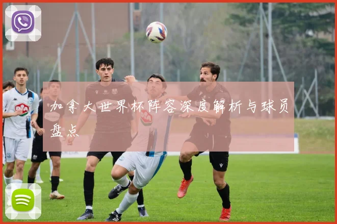 加拿大世界杯阵容深度解析与球员盘点